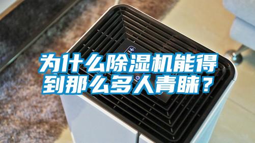 為什么除濕機能得到那么多人青睞？