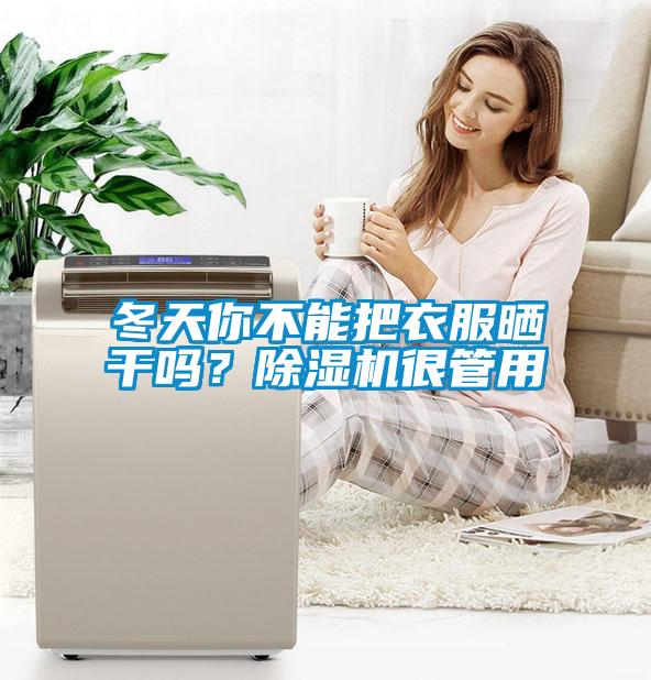 冬天你不能把衣服曬干嗎？除濕機(jī)很管用