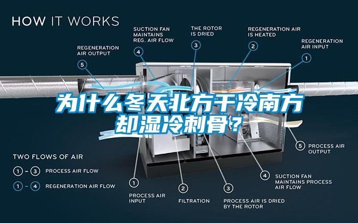 為什么冬天北方干冷南方卻濕冷刺骨？
