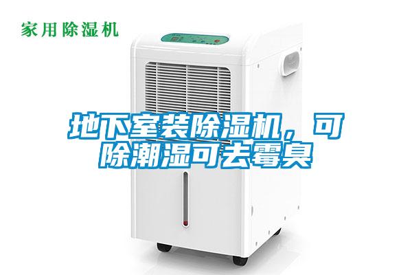 地下室裝除濕機，可除潮濕可去霉臭