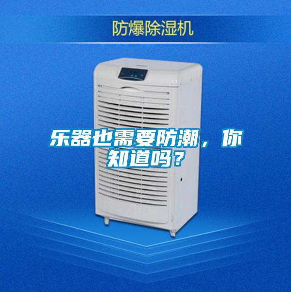 樂器也需要防潮，你知道嗎？