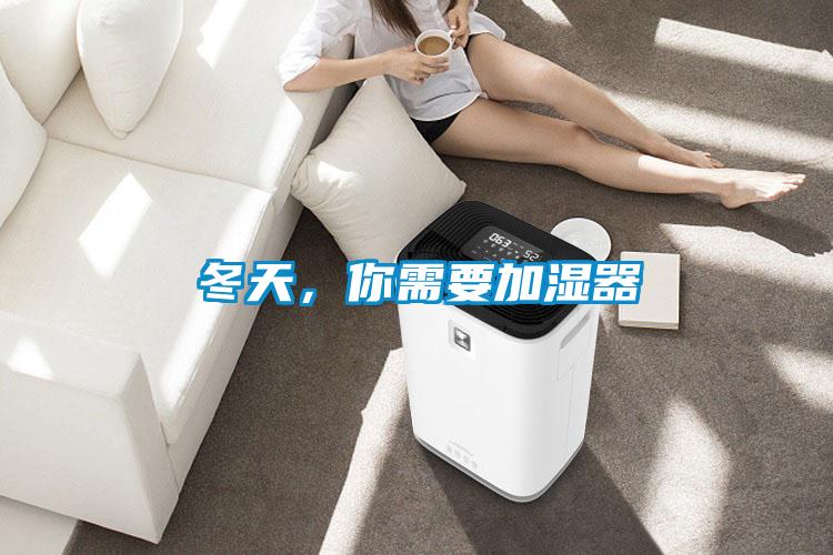 冬天，你需要加濕器