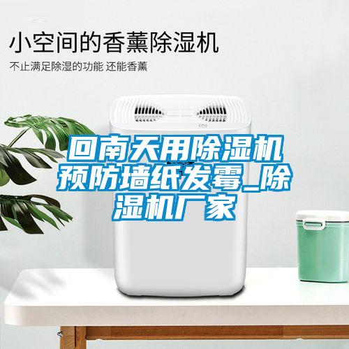 回南天用除濕機(jī)預(yù)防墻紙發(fā)霉_除濕機(jī)廠家