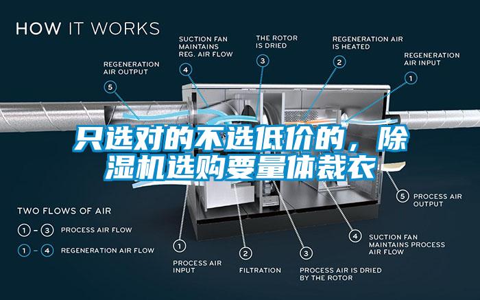 只選對的不選低價的，除濕機(jī)選購要量體裁衣