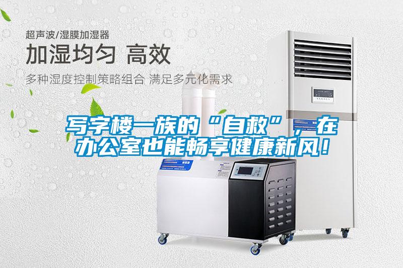寫字樓一族的“自救”，在辦公室也能暢享健康新風！