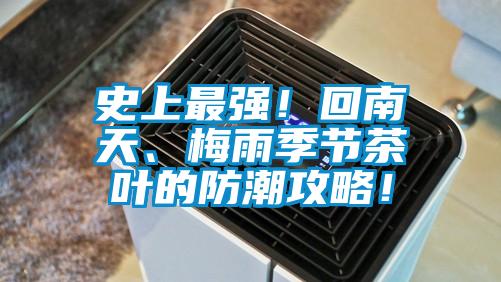 史上最強！回南天、梅雨季節茶葉的防潮攻略！