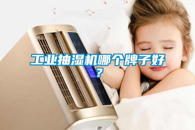 工業抽濕機哪個牌子好？