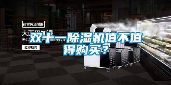 雙十一除濕機值不值得購買？
