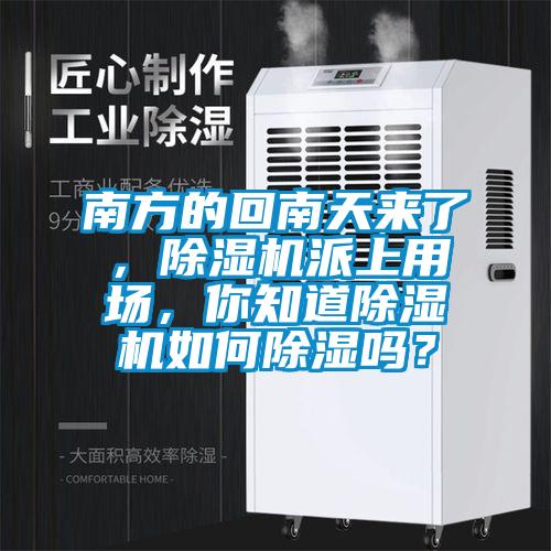 南方的回南天來了，除濕機派上用場，你知道除濕機如何除濕嗎？