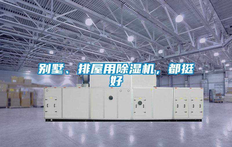 別墅、排屋用除濕機，都挺好