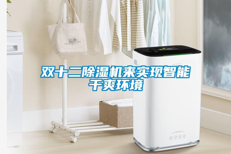 雙十二除濕機來實現智能干爽環境
