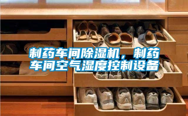 制藥車間除濕機(jī)，制藥車間空氣濕度控制設(shè)備