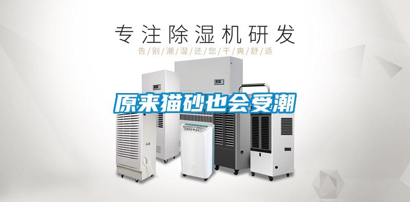 原來貓砂也會(huì)受潮