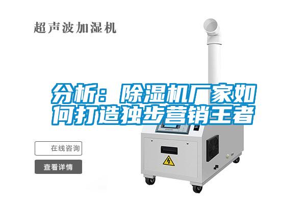 分析：除濕機(jī)廠家如何打造獨(dú)步營銷王者