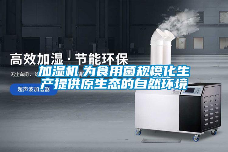 加濕機(jī)　為食用菌規(guī)模化生產(chǎn)提供原生態(tài)的自然環(huán)境