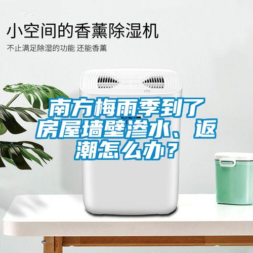 南方梅雨季到了房屋墻壁滲水、返潮怎么辦？