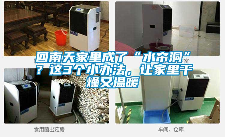 回南天家里成了“水簾洞”？這3個小辦法，讓家里干燥又溫暖