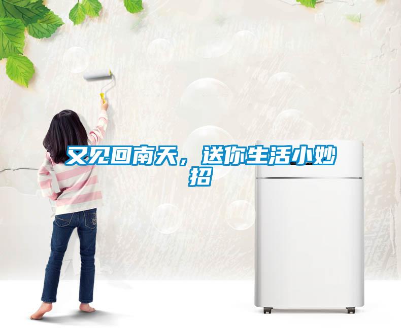 又見回南天，送你生活小妙招