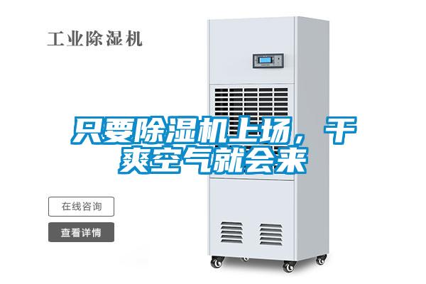 只要除濕機上場，干爽空氣就會來