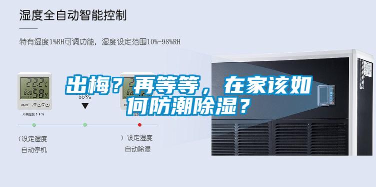 出梅？再等等，在家該如何防潮除濕？