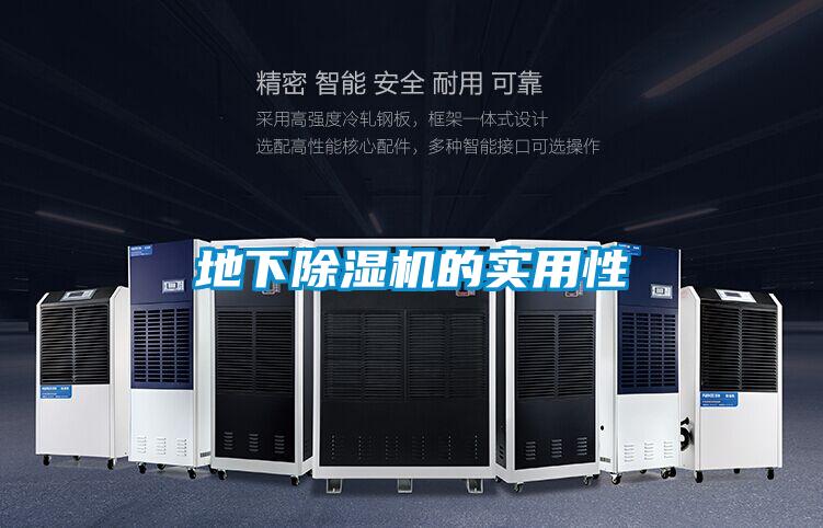 地下除濕機的實用性