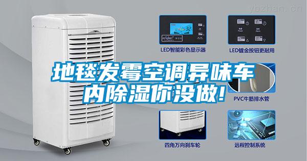 地毯發(fā)霉空調(diào)異味車內(nèi)除濕你沒做!