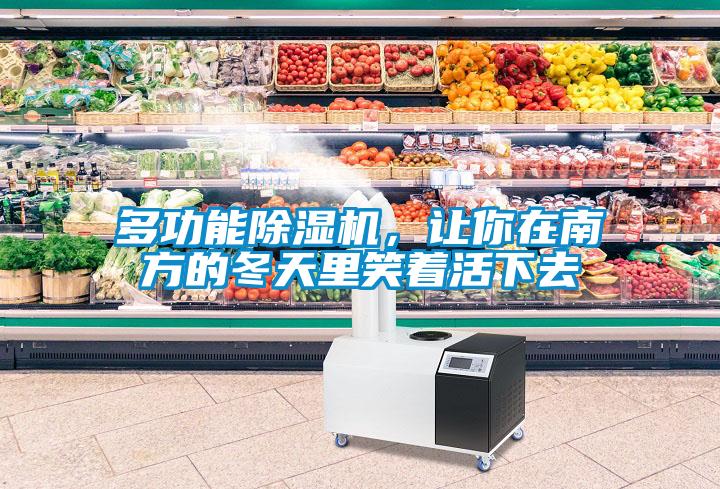 多功能除濕機(jī)，讓你在南方的冬天里笑著活下去