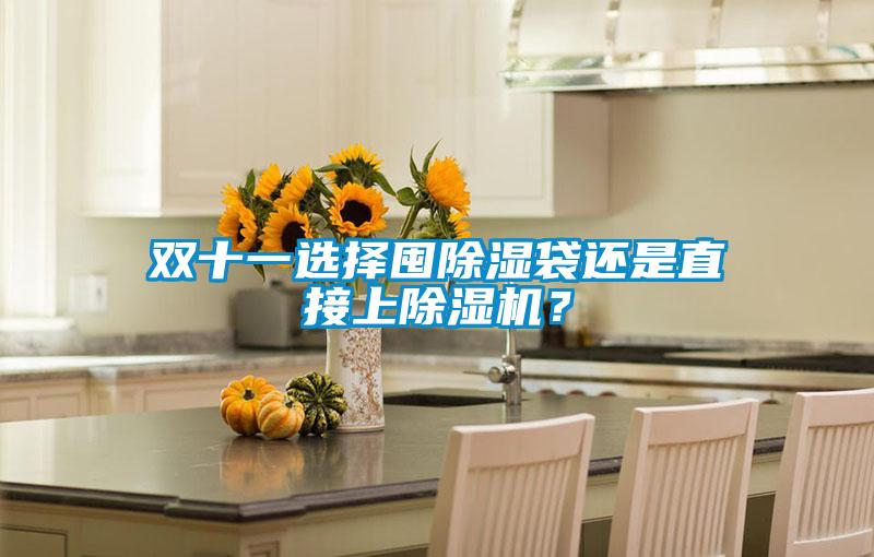 雙十一選擇囤除濕袋還是直接上除濕機(jī)？