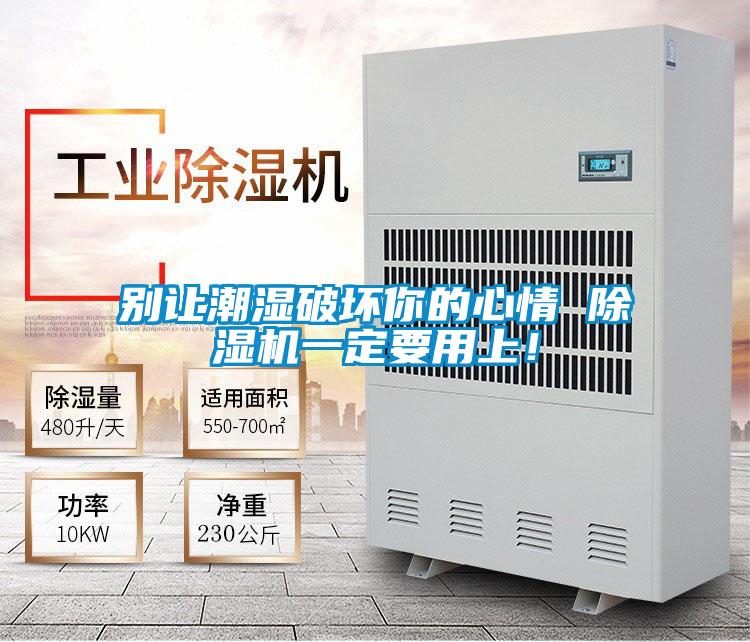 別讓潮濕破壞你的心情 除濕機(jī)一定要用上！