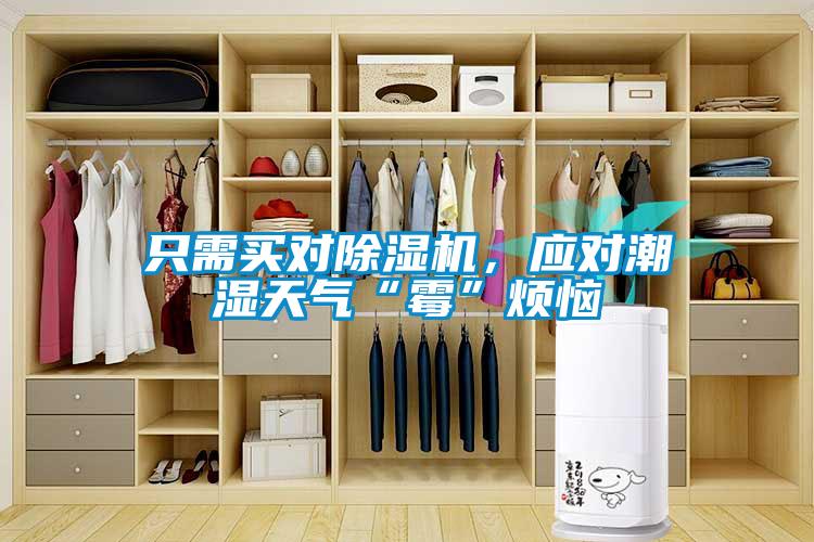 只需買對除濕機，應對潮濕天氣“霉”煩惱