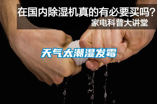 天氣太潮濕發霉