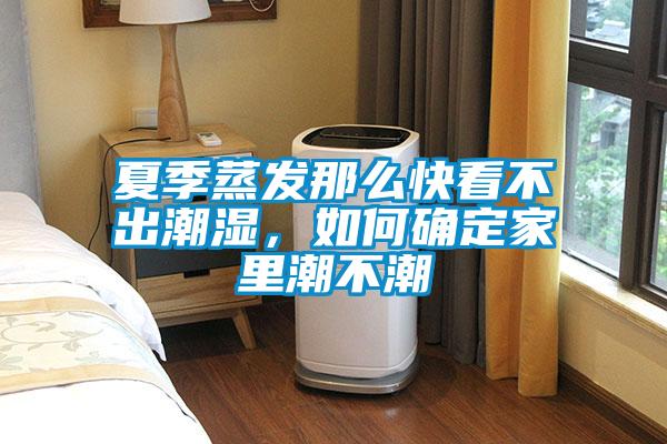 夏季蒸發那么快看不出潮濕，如何確定家里潮不潮