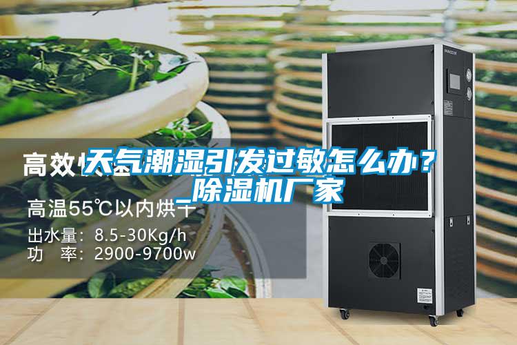 天氣潮濕引發過敏怎么辦？_除濕機廠家