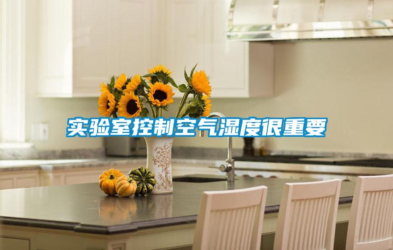實(shí)驗(yàn)室控制空氣濕度很重要