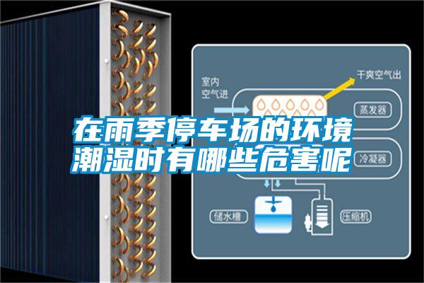 在雨季停車場的環(huán)境潮濕時有哪些危害呢