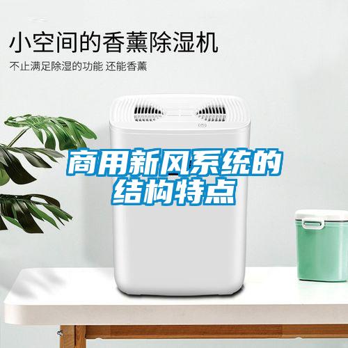 商用新風(fēng)系統(tǒng)的結(jié)構(gòu)特點