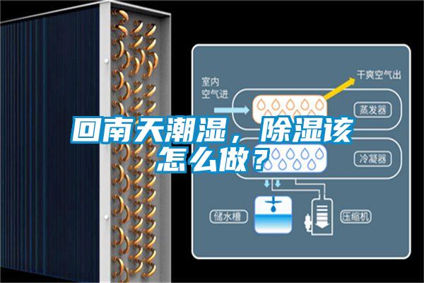回南天潮濕，除濕該怎么做？