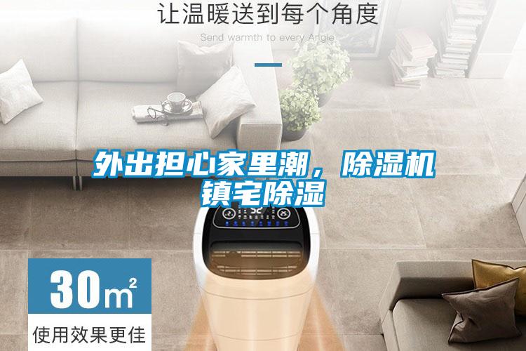 外出擔(dān)心家里潮，除濕機鎮(zhèn)宅除濕