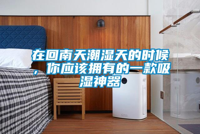 在回南天潮濕天的時(shí)候，你應(yīng)該擁有的一款吸濕神器