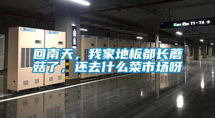 回南天，我家地板都長蘑菇了，還去什么菜市場呀