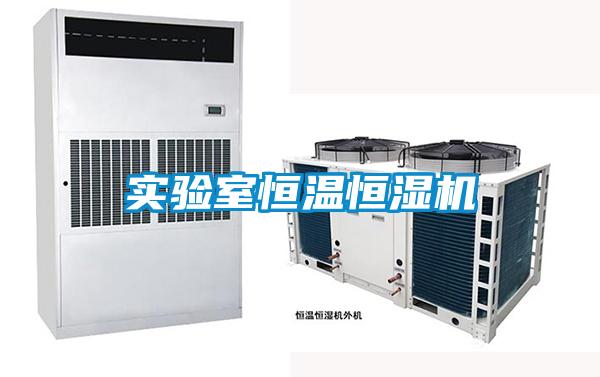 實(shí)驗(yàn)室恒溫恒濕機(jī)