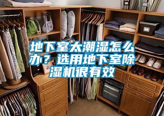 地下室太潮濕怎么辦？選用地下室除濕機很有效