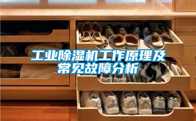 工業除濕機工作原理及常見故障分析