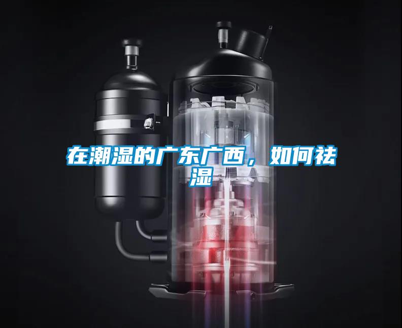 在潮濕的廣東廣西，如何祛濕
