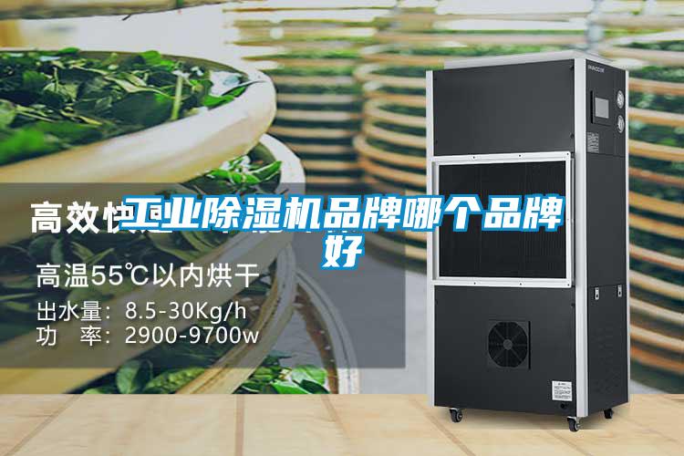 工業除濕機品牌哪個品牌好