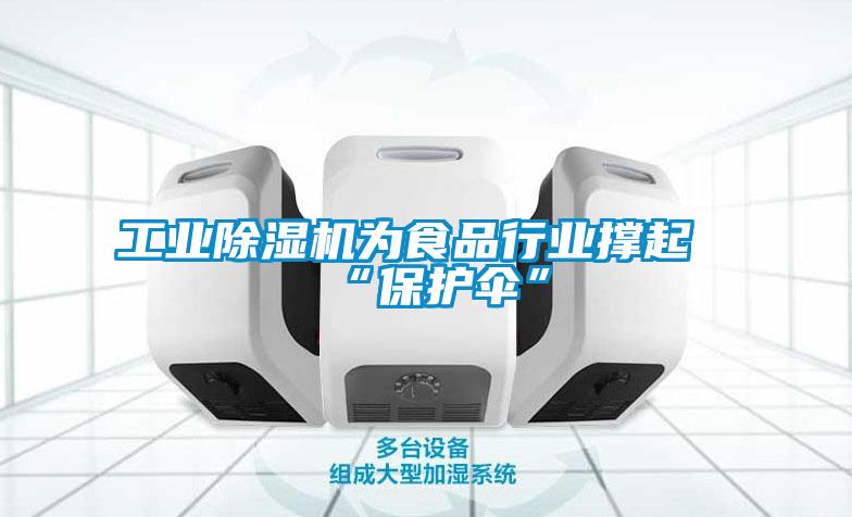 工業除濕機為食品行業撐起“保護傘”