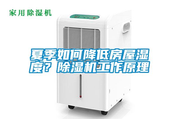 夏季如何降低房屋濕度？除濕機工作原理