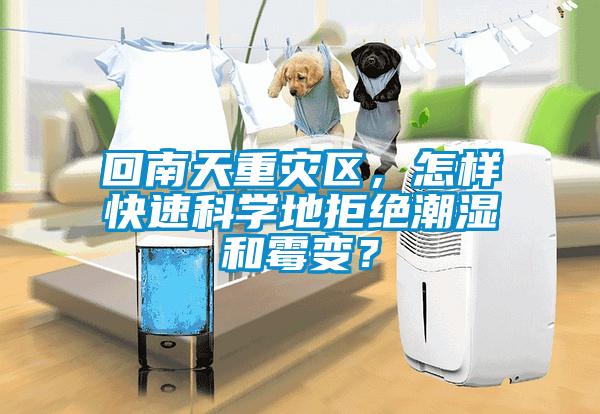 回南天重災區，怎樣快速科學地拒絕潮濕和霉變？