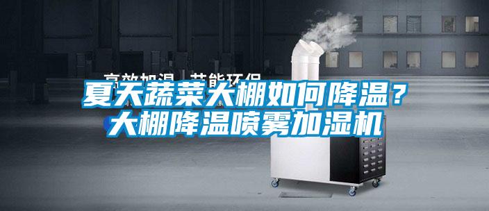 夏天蔬菜大棚如何降溫？大棚降溫噴霧加濕機