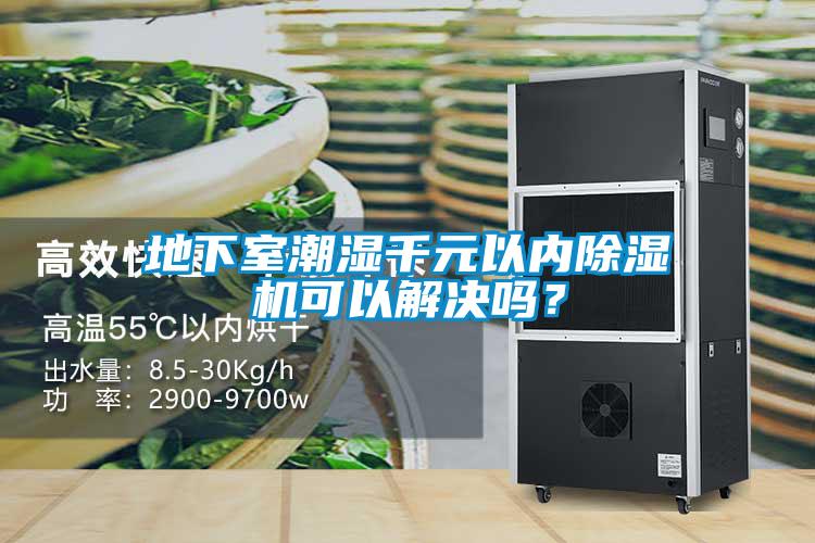 地下室潮濕千元以內除濕機可以解決嗎？